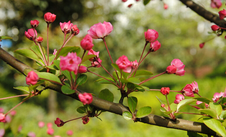 客控系統(tǒng) 客控系統(tǒng)